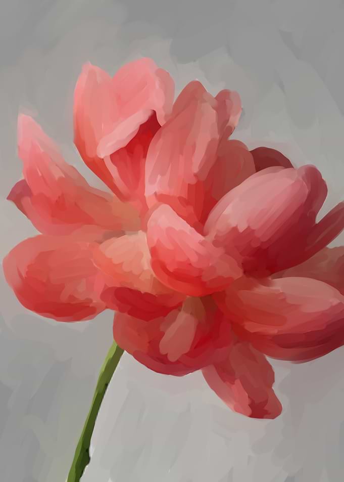 peony plants