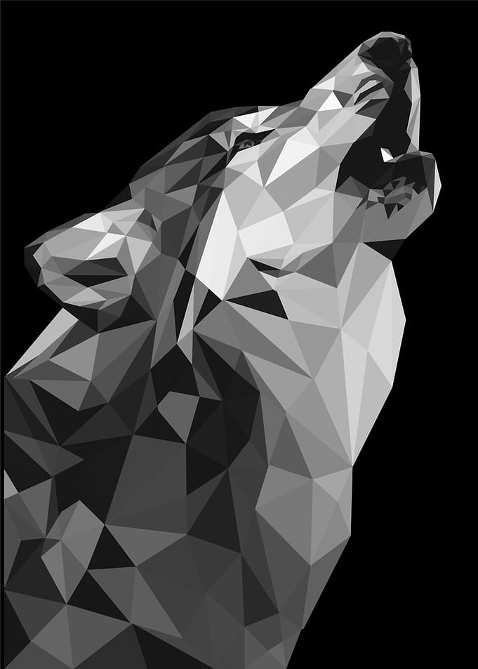 wolves