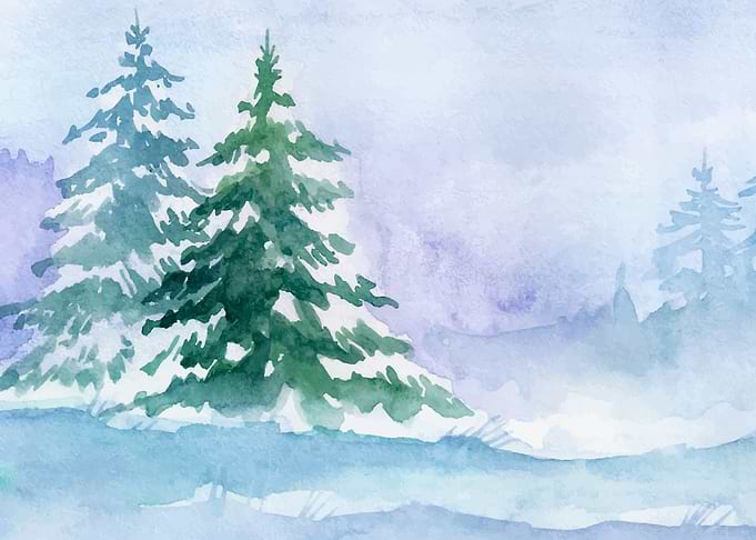 Snow Covered Branches Art