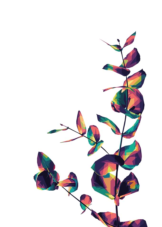 Leaf Colorful