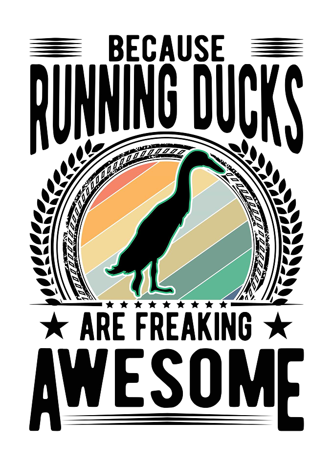 Indian Runner Duck