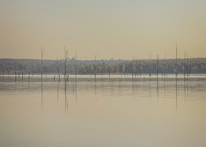 Grande Stream Landscape