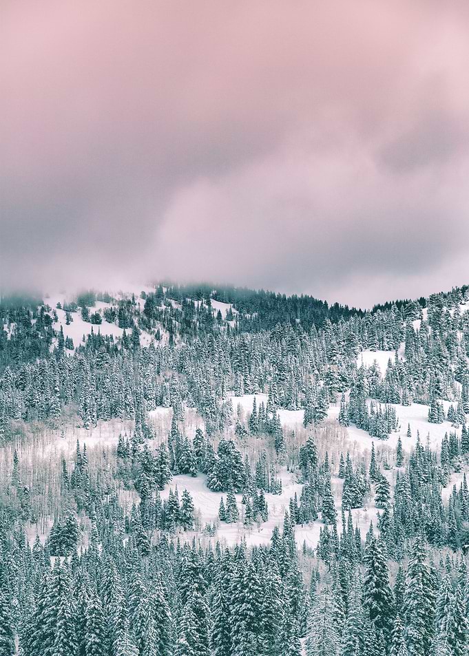 Frozen Lands