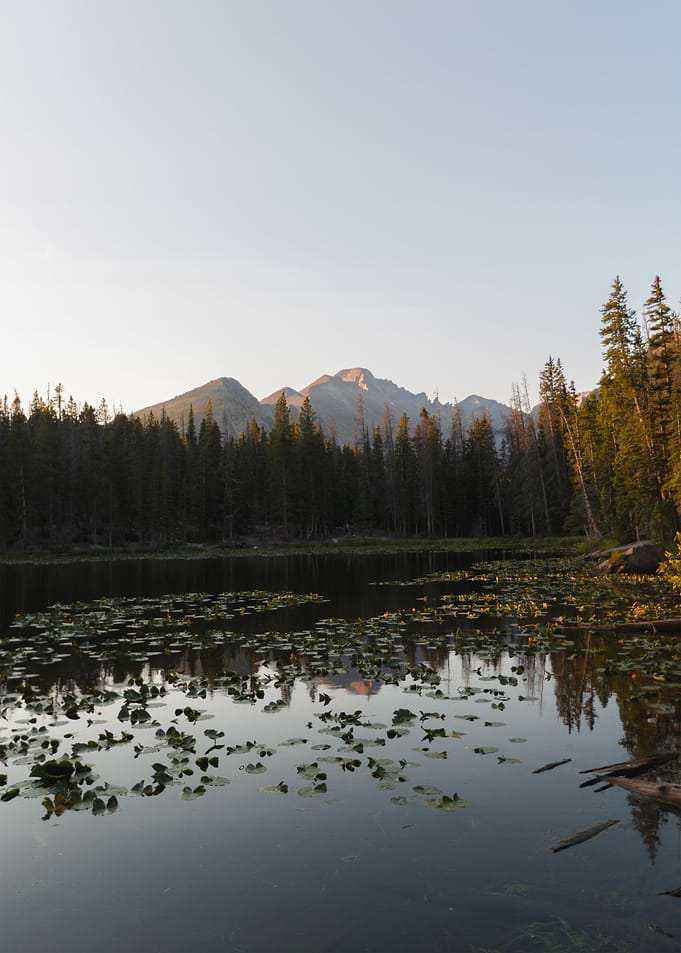 Lakeside