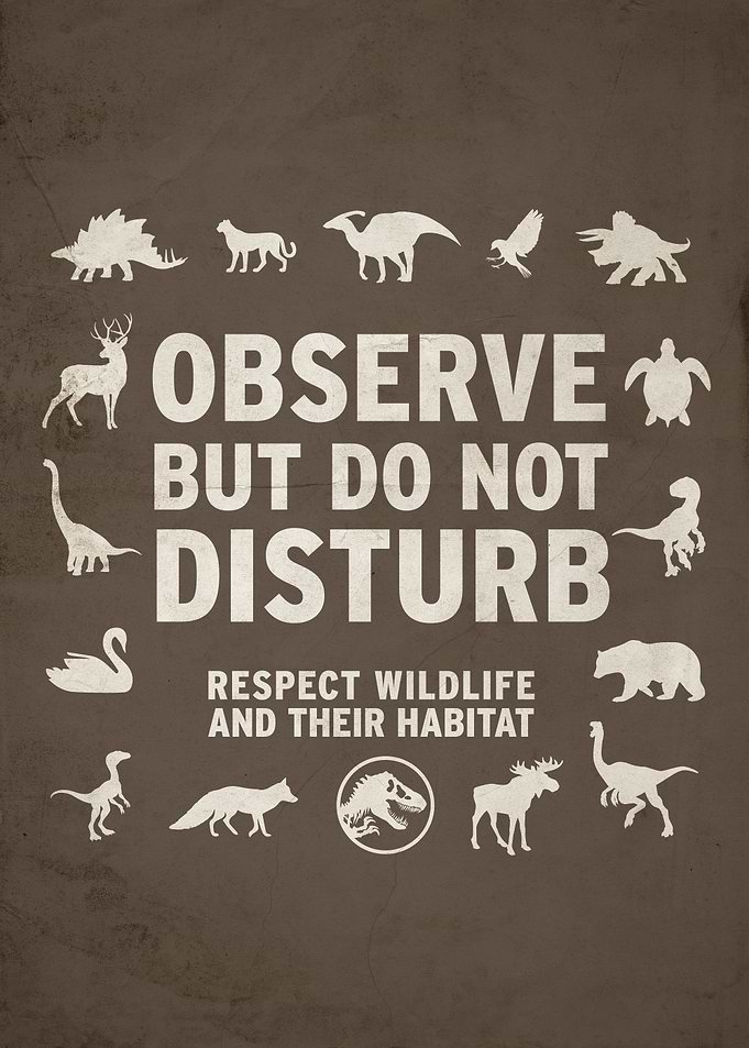 Observe but do not disturb