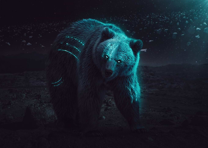 Space Bear
