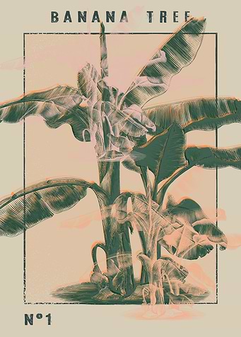 Banana Tree
