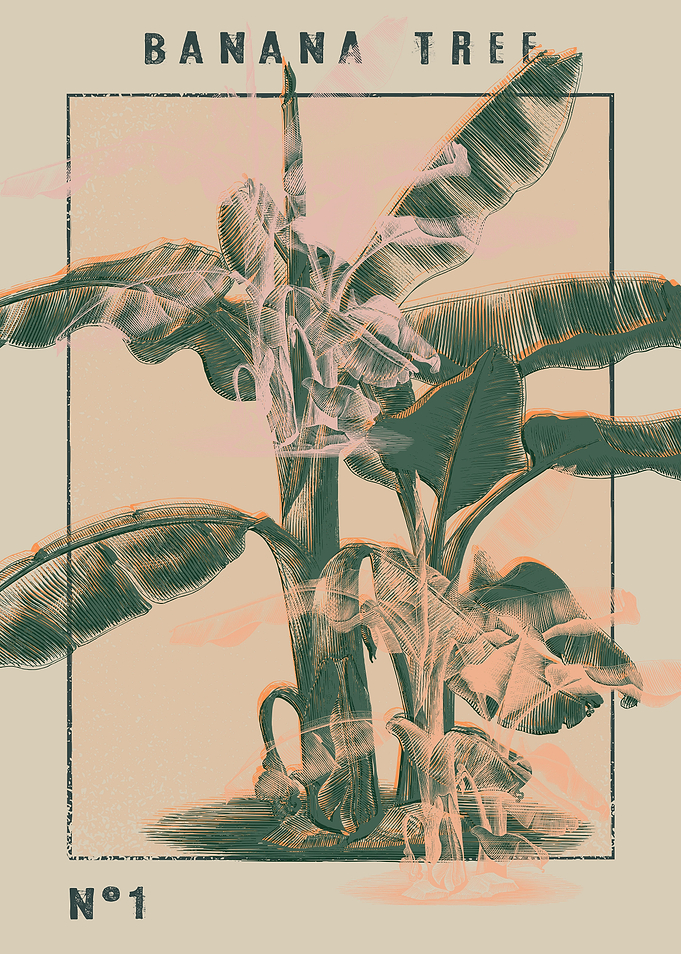 Banana Tree
