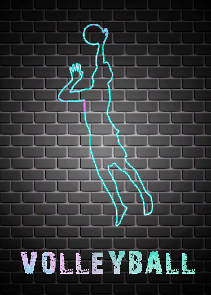 Volleyball Sport