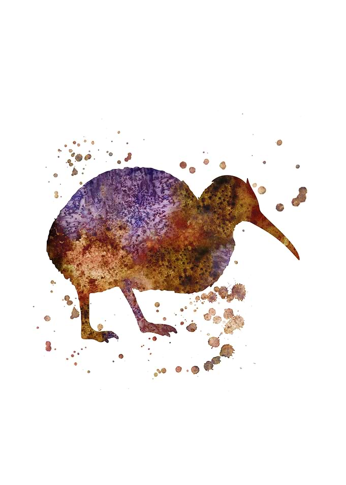 Kiwi bird
