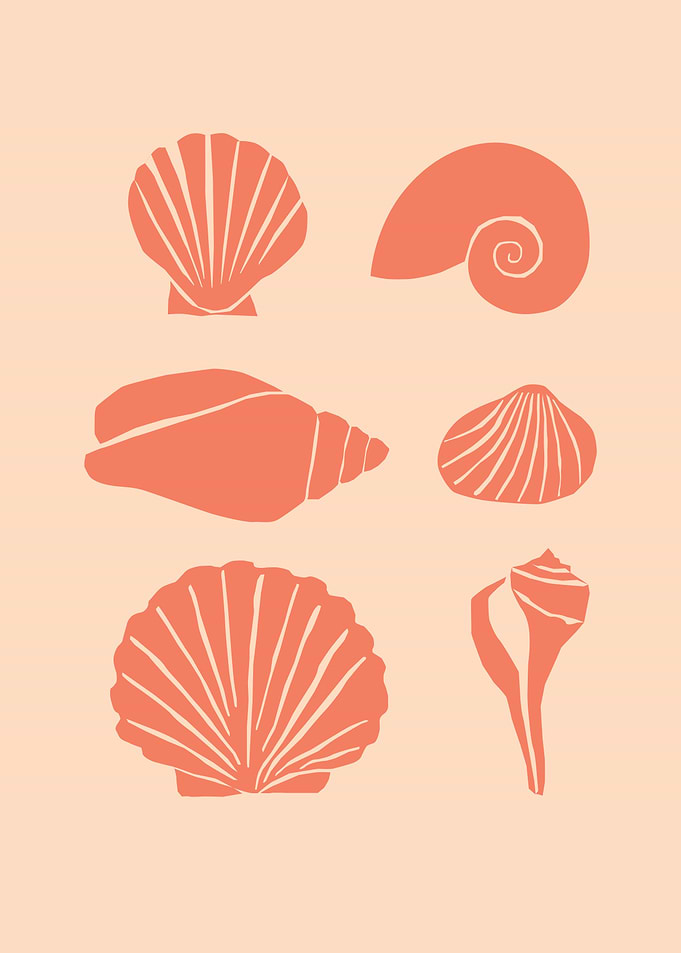 Ocean Cute sea Shell