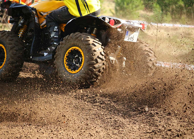 Left in the Dirt