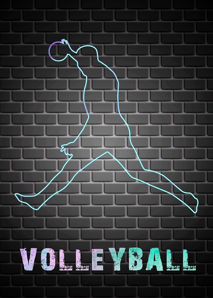 Volleyball Sport