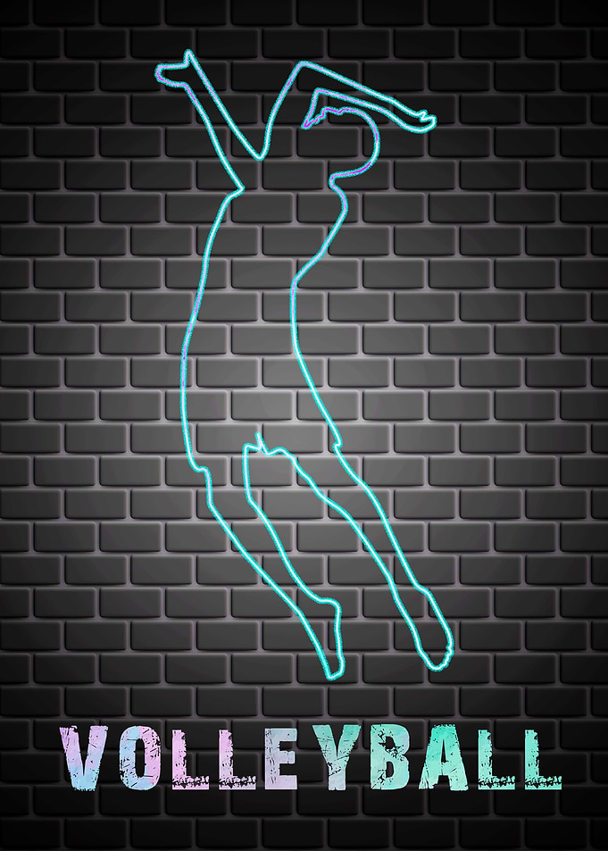 Volleyball Sport