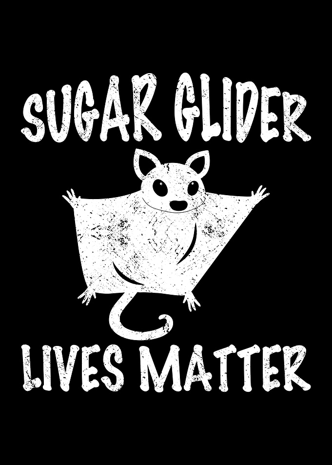 Sugar glider lives matter