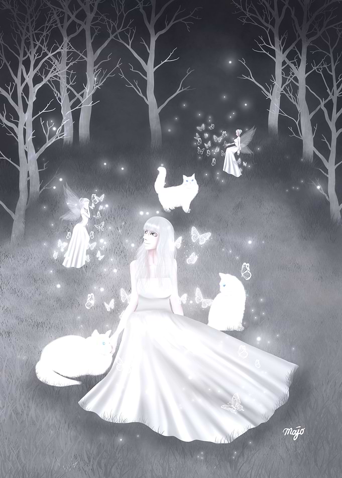 Forest Of Fairy