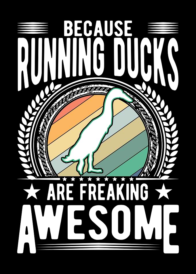 Indian Runner Duck