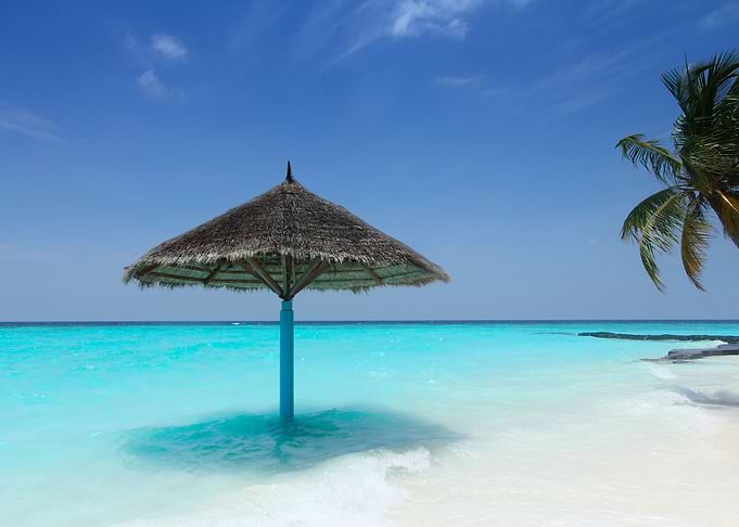 Caribbean Magic