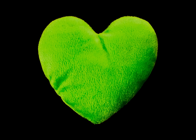 Heart shaped plush green i