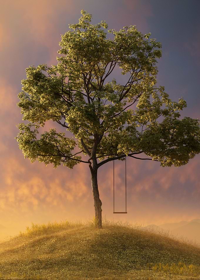 Peaceful Swing
