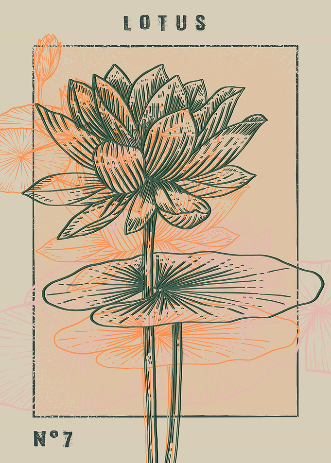 Lotus