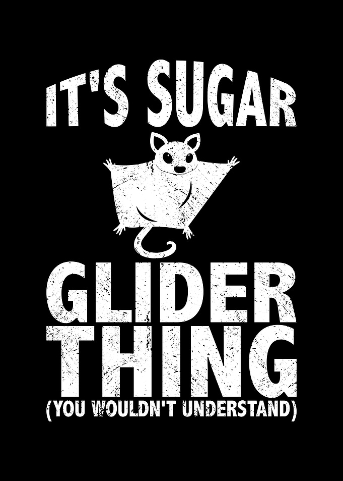 Its sugar glider thing