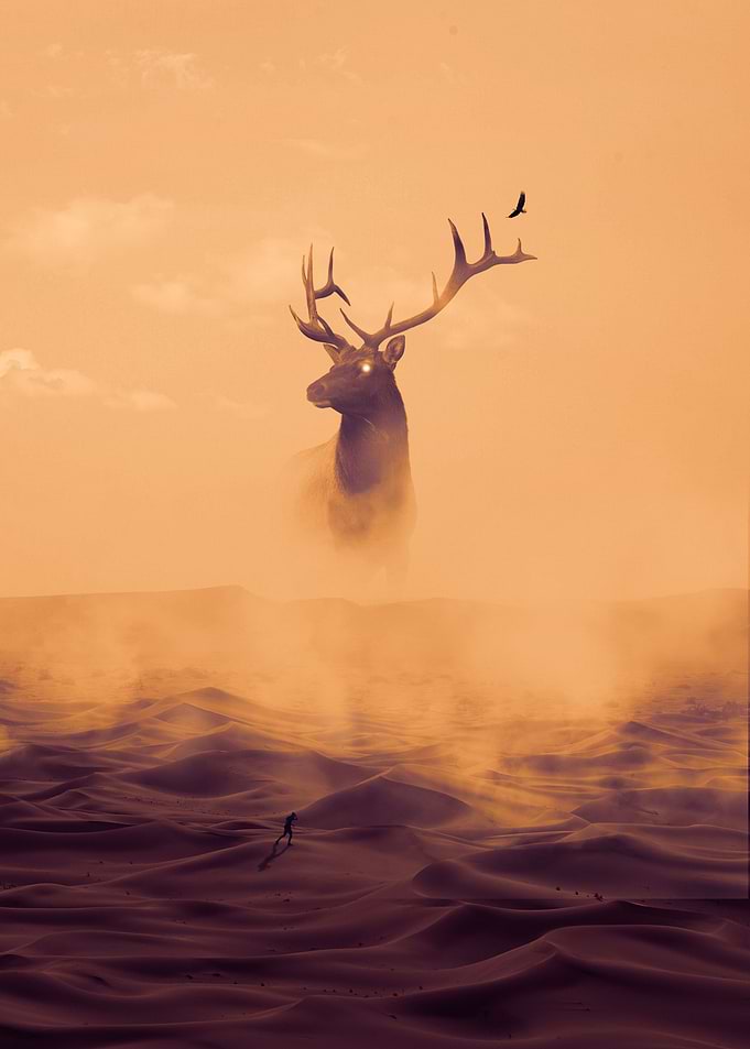 Desert Fantasy Deer Poster