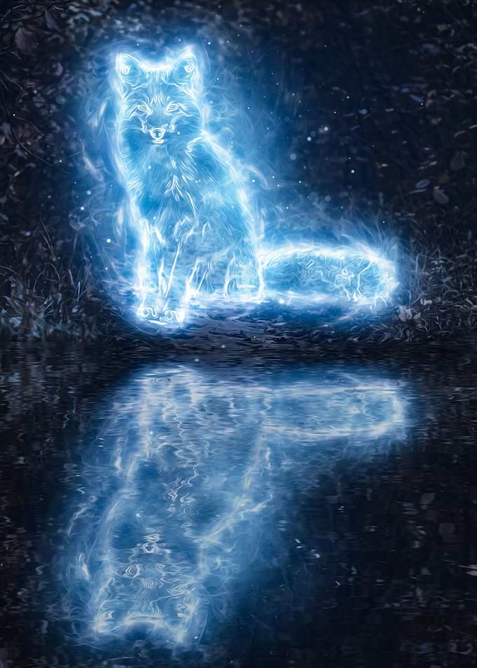 Magical Fox Spirit