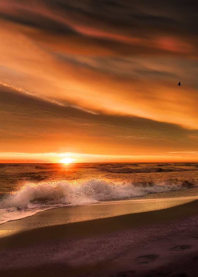 Spring Magical Sunrise 2