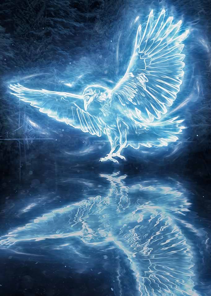 Magical Raven Spirit