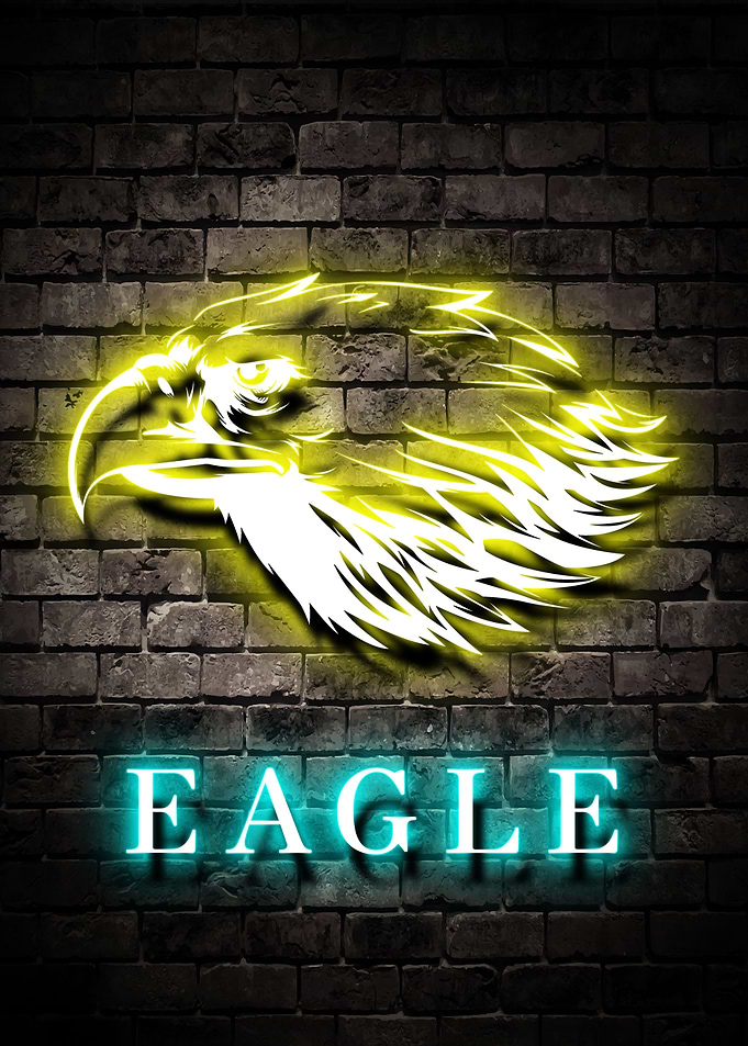 Eagle Animal