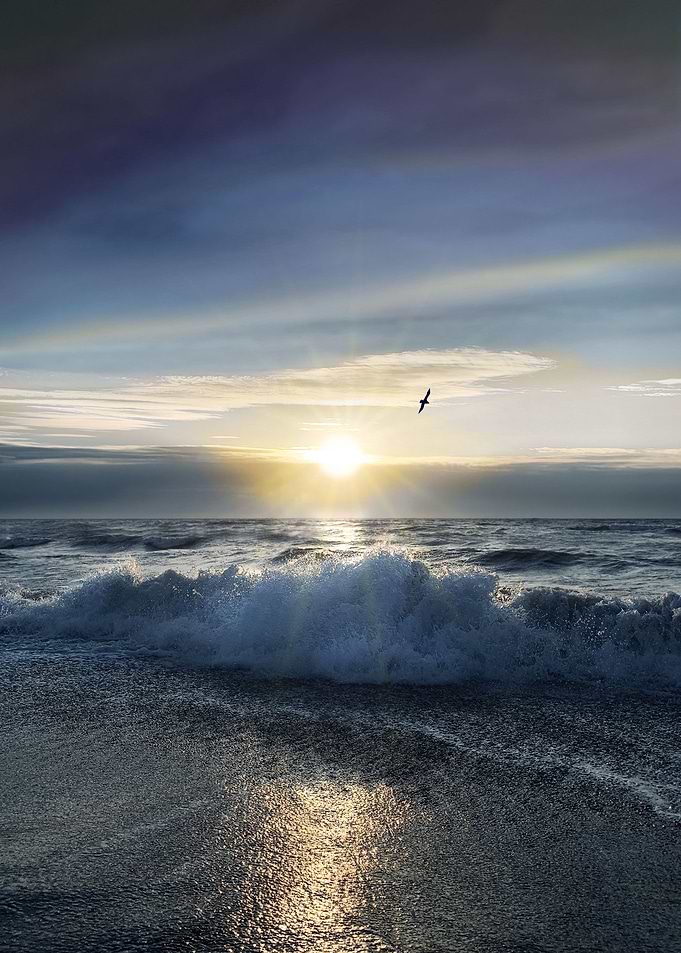 Winter Cold Blue Sunrise
