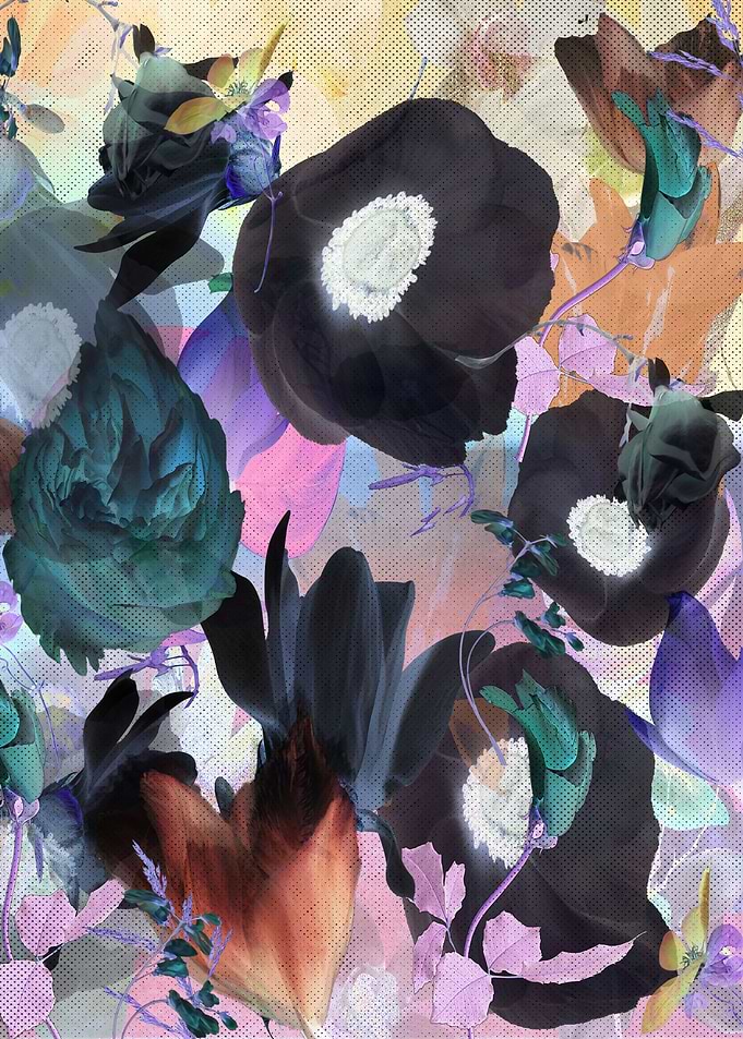 Black flowers