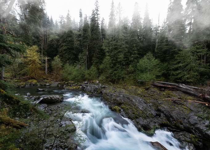 Olympic National Park