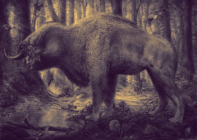Host of the Forest