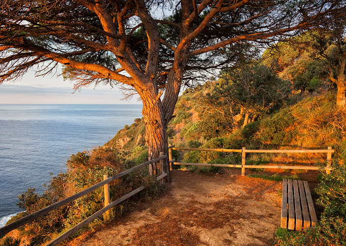 Sunrise By The Sea