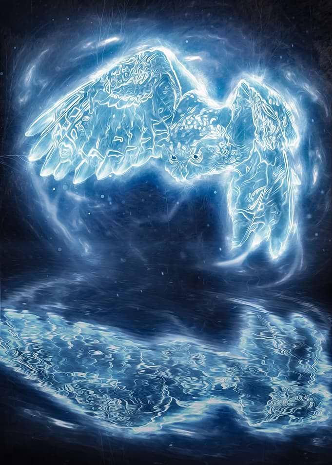 Magical Owl Spirit