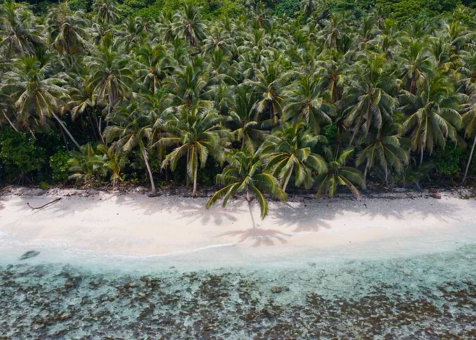 Fagaloa Samoa
