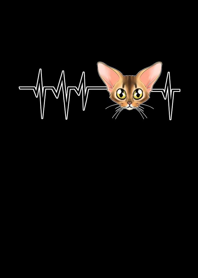 Heartbeat I Abyssinian Cat