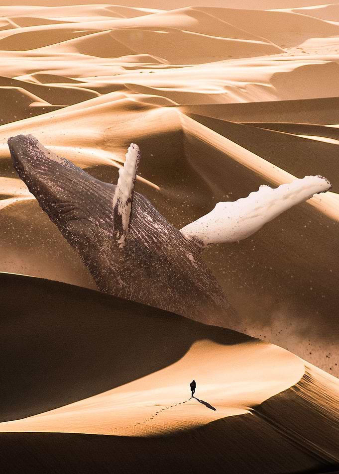 Arctic Desert