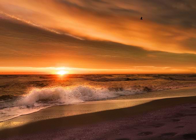 Spring Magical Sunrise 1