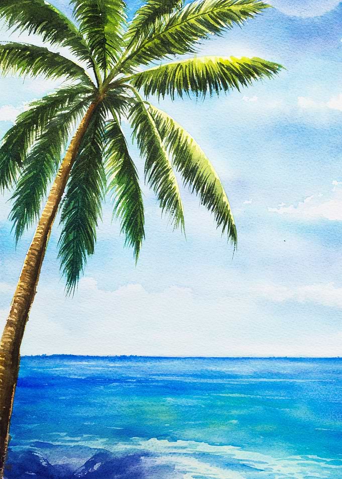 Hawaii Sandy Beach