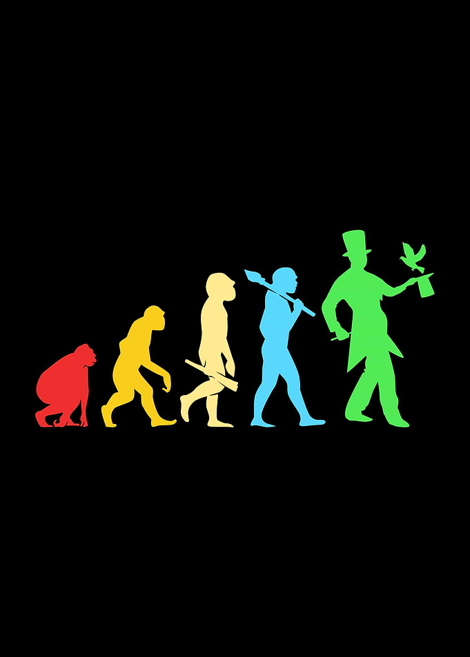 Evolution Magician