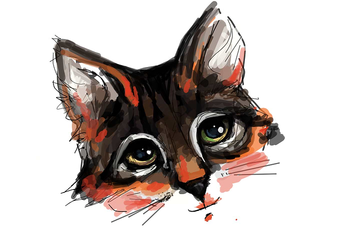 Cat or Fox