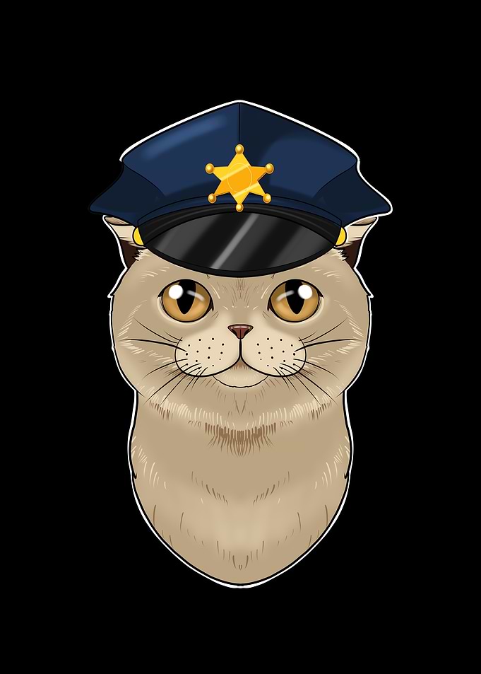 Police Scottish Fold Cat