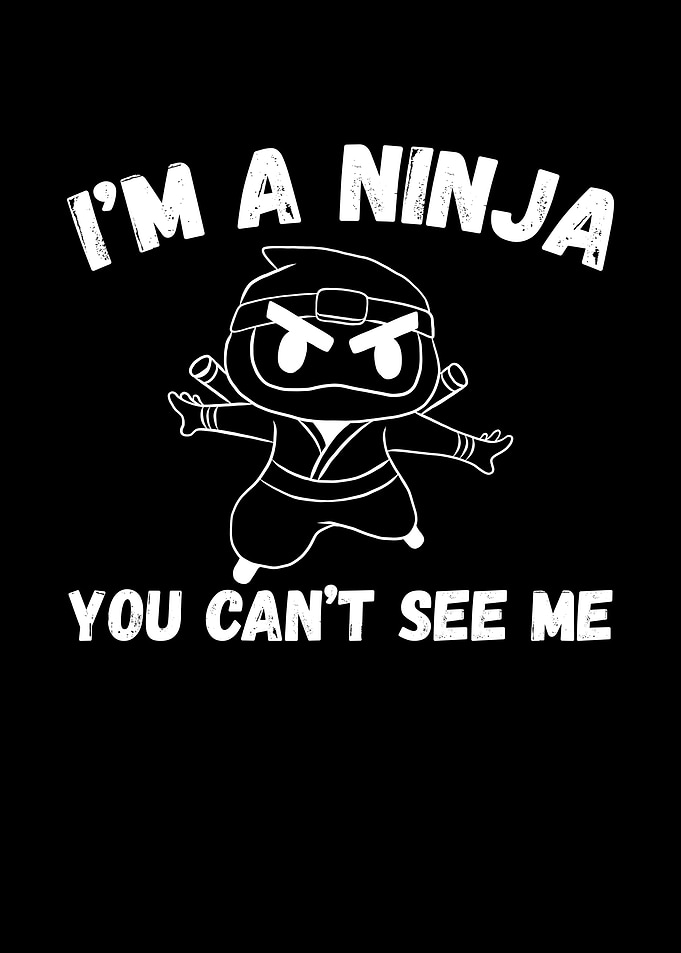 You cant see the ninja