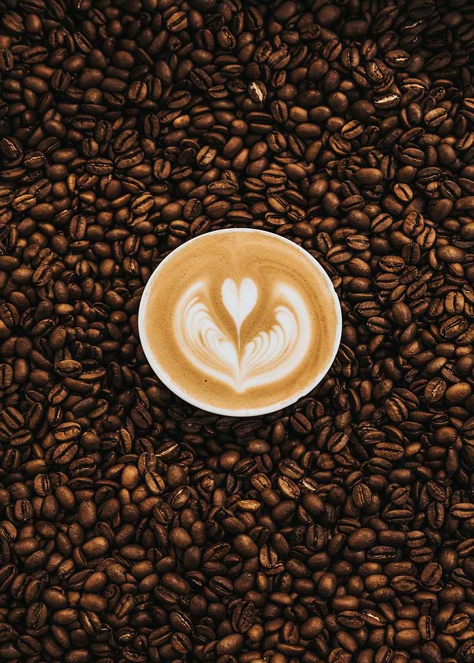 Coffee Bean Dream