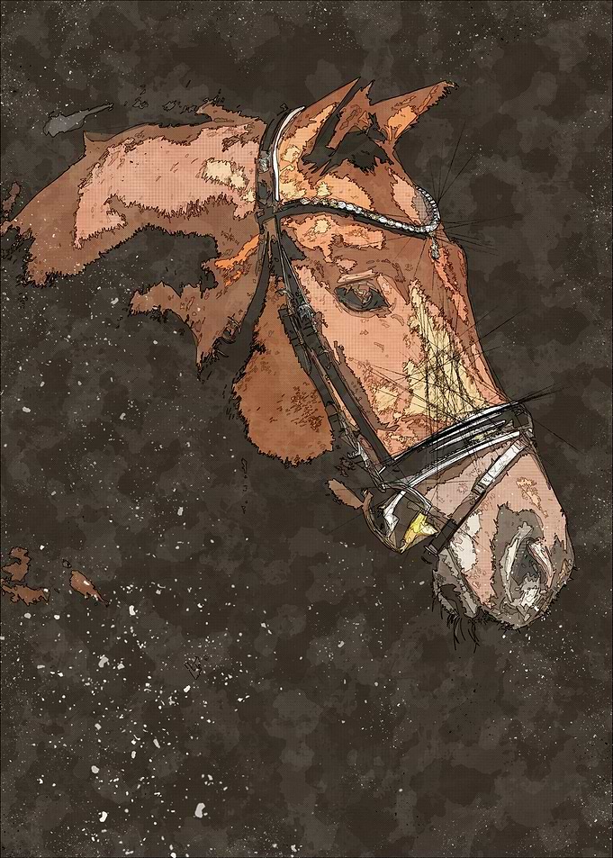 Horse Head