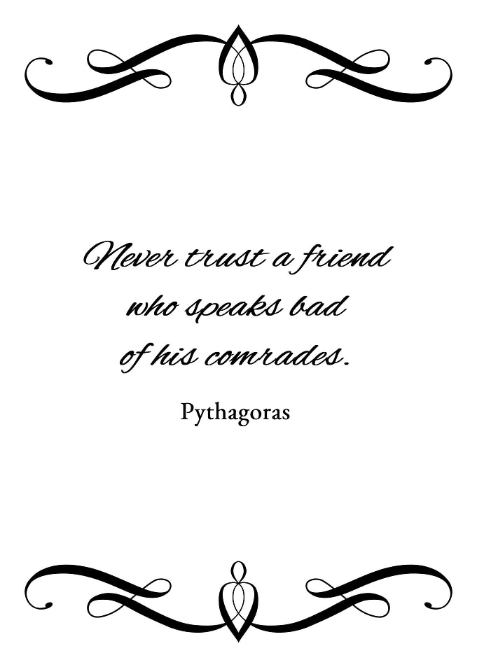 Friends and Comrades