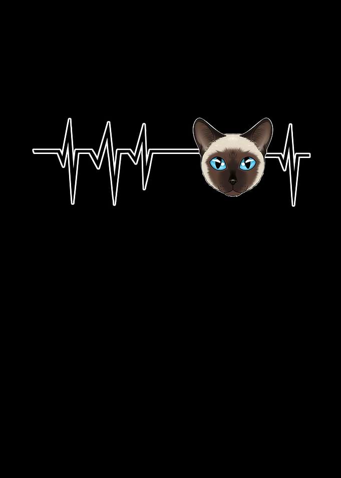 Heartbeat I Siamese Cat